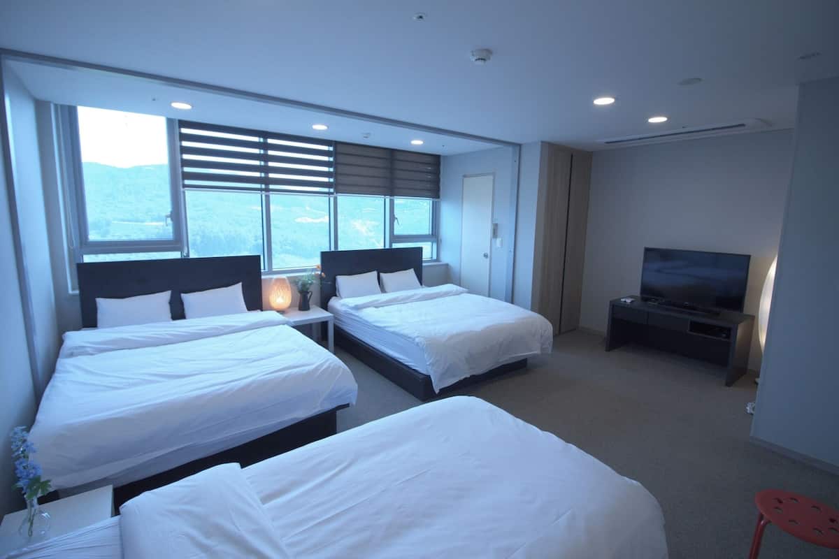 Room, Multiple Beds
