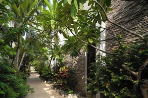 Un sendero estrecho bordeado por abundante vegetación y una rústica pared de piedra, que conduce a un edificio con techo de paja.