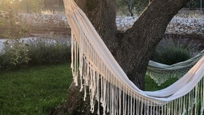 Μια αιώρα δεμένη ανάμεσα σε δύο δέντρα, σε ένα καταπράσινο περιβάλλον κήπου.