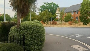 A residential street with a palm tree, a hedge, and a brick house. - Reading Retreat 1 Bed With Private Parking (Reading)