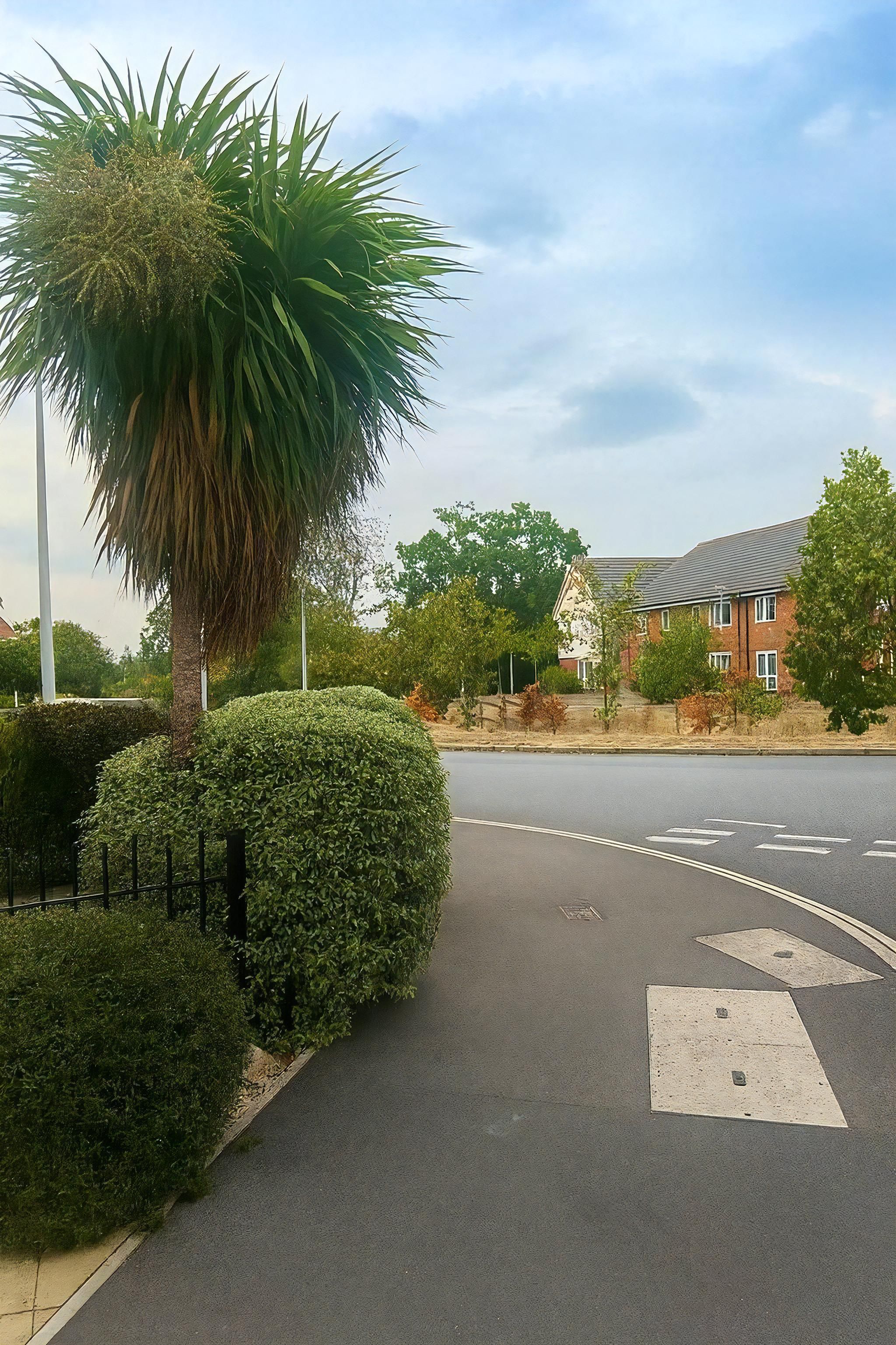 Una calle residencial con una palmera, un seto y una casa de ladrillo.