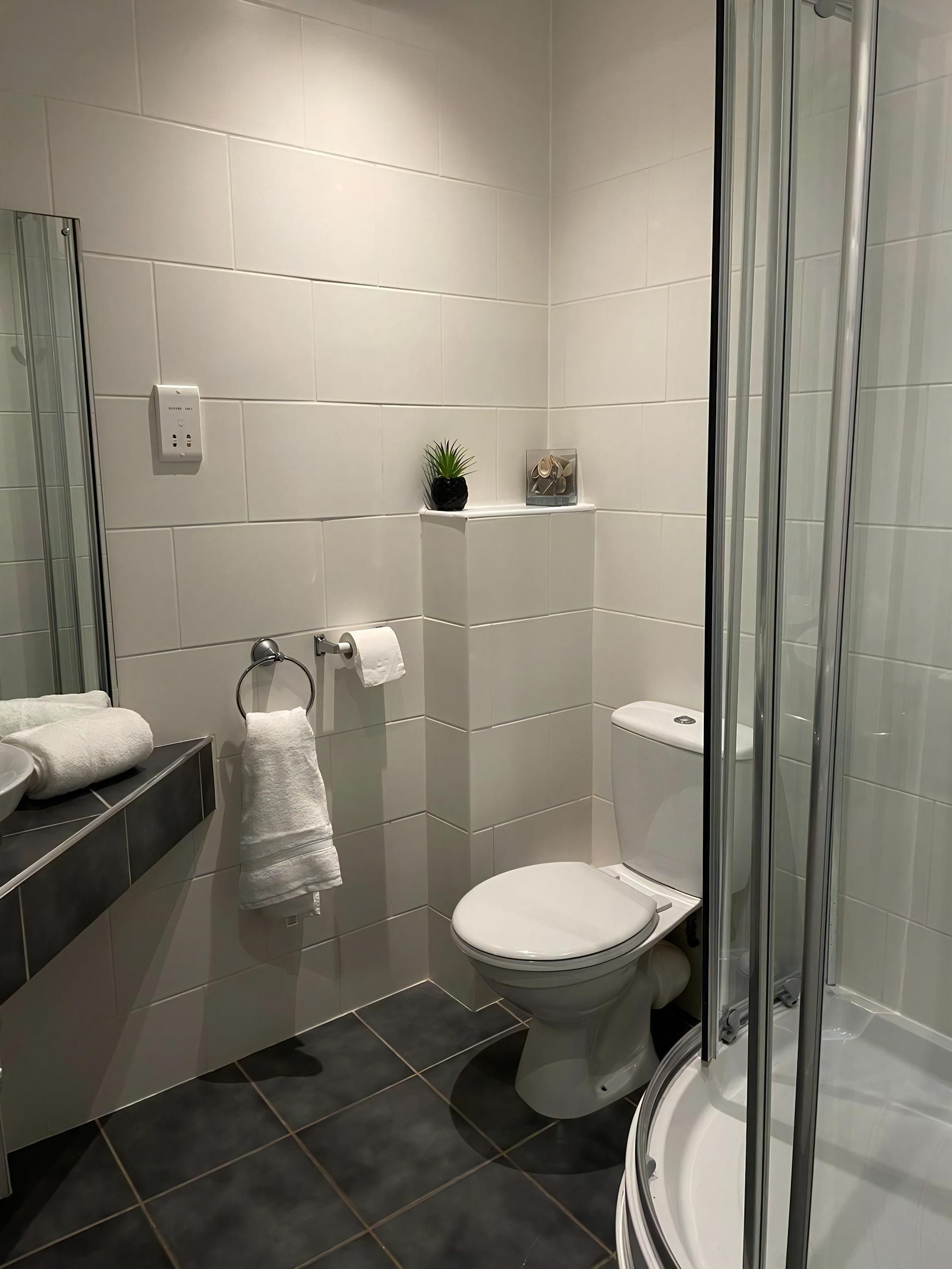 A modern bathroom with a toilet, a glass shower enclosure, a sink with a mirror, and a towel rack.