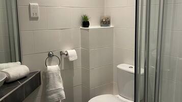 A modern bathroom with a toilet, a glass shower enclosure, a sink with a mirror, and a towel rack.