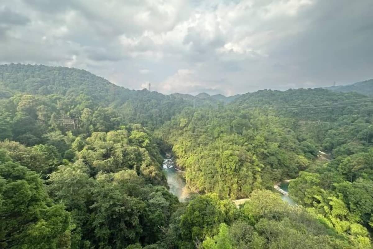 A dense forested landscape with a river running through it.