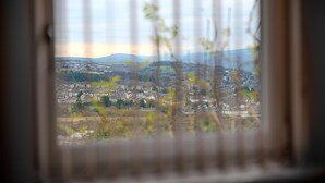 Blick durch ein Fenster, im Vordergrund unscharfe Äste, in der Ferne eine Stadt und Hügel.