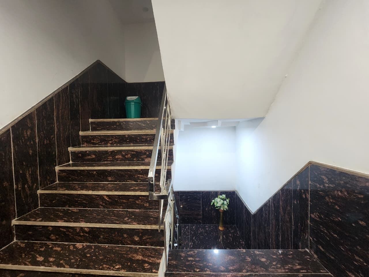 Eine Treppe mit dunklen Marmorstufen und Handläufen, die zu einer Empflage mit einem Blumentopf führt.