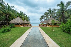 Un sendero conduce a una piscina con construcciones de techo de paja y palmeras.