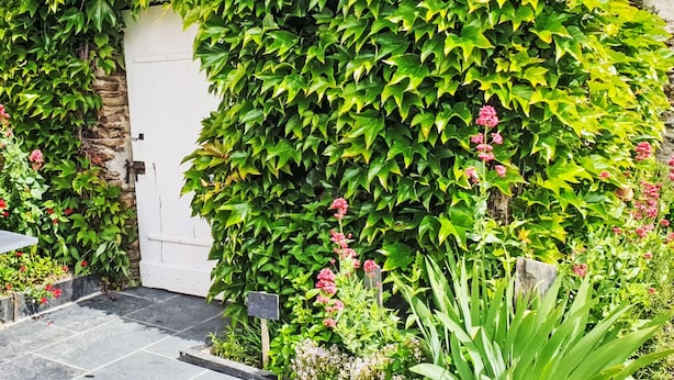 Een tuin met een witte deur, weelderige groene begroeiing en verschillende planten.