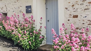 Een stenen gebouw met een grijze deur, een brievenbus, en roze bloemen op de voorgrond.