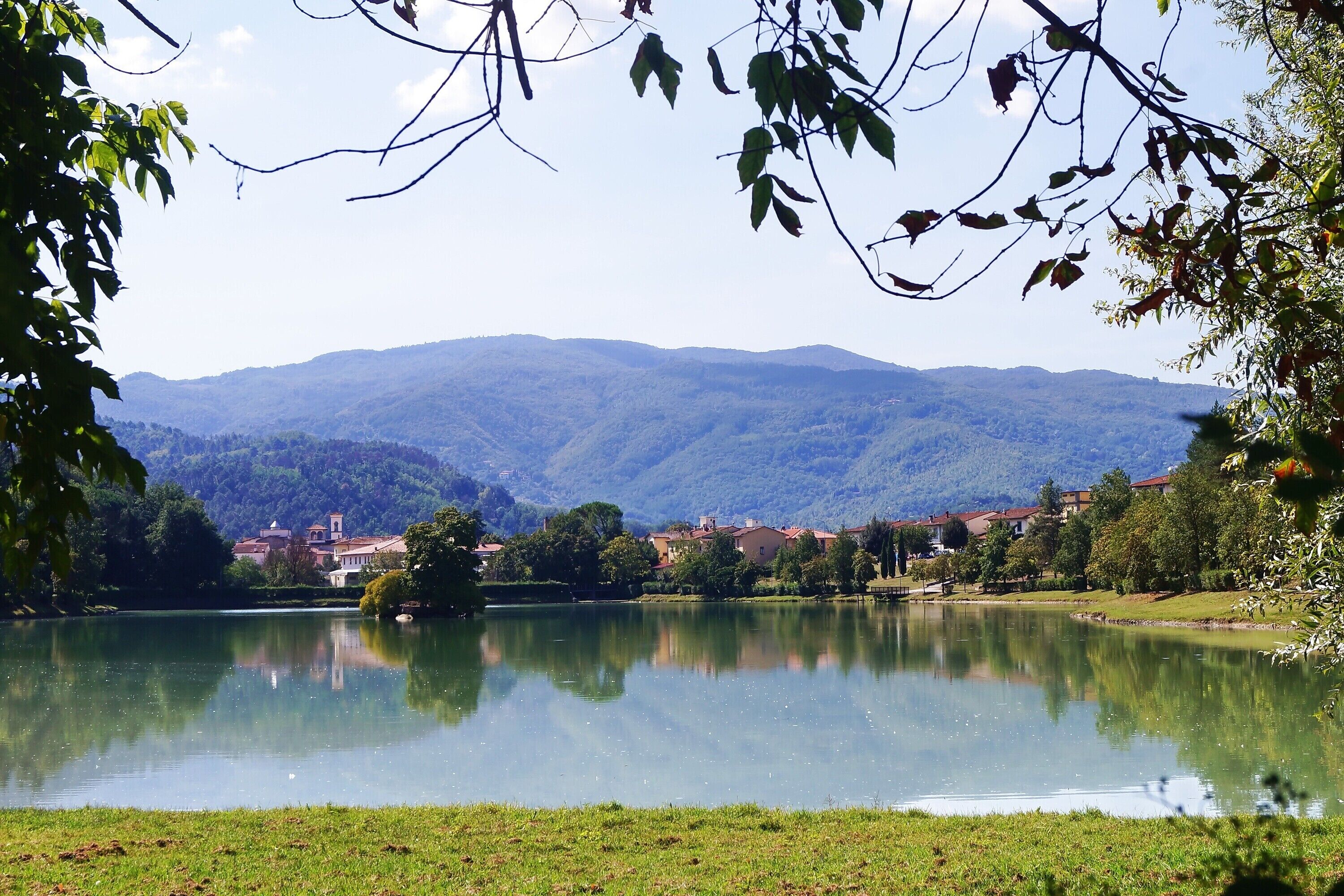 Esterni