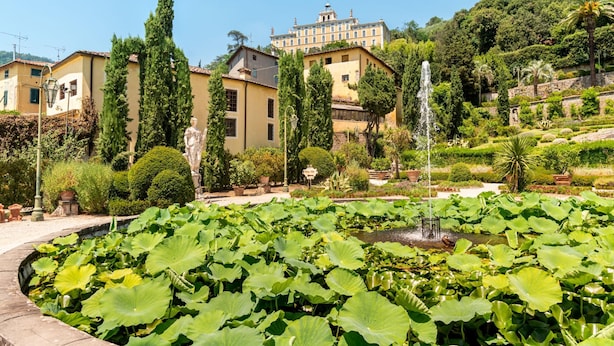 Un jardín con una fuente, abundante vegetación y un edificio grande al fondo.
