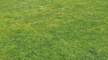 Shared Dormitory, 1 Bedroom, Smoking, Patio | Terrace/patio