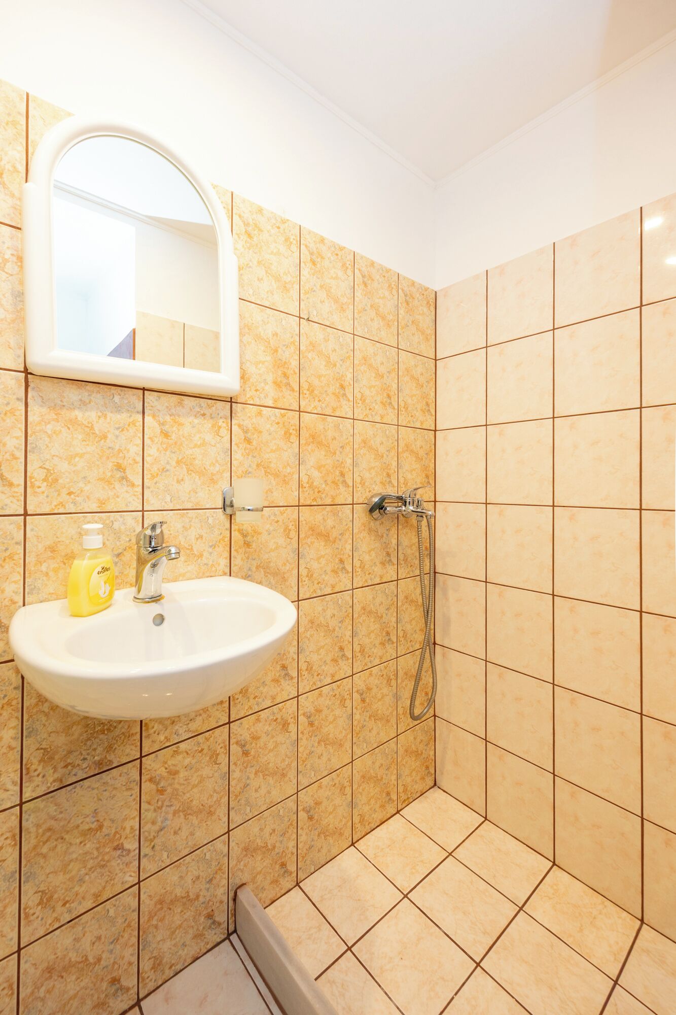 Baño con lavamanos, espejo y ducha.