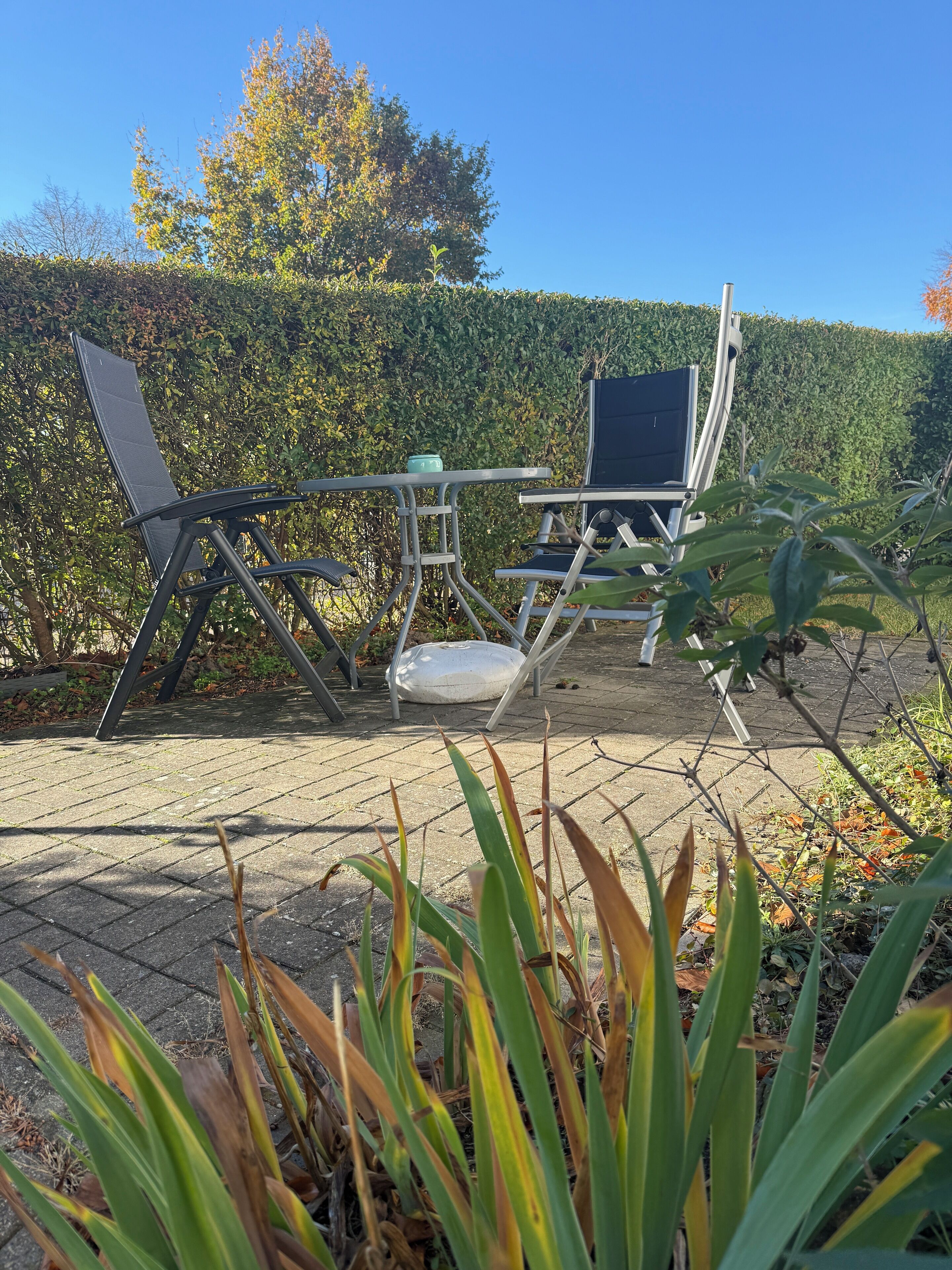 Ein Sitzbereich im Freien mit Metallstühlen und einem Tisch, umgeben von einer Hecke und Pflanzen.