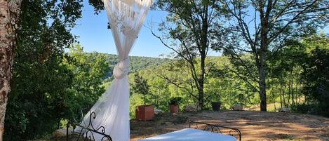 A bed with a canopy in a natural setting.