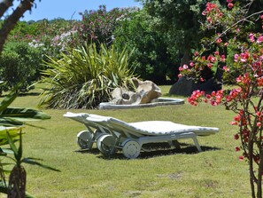 Property grounds - Villa Mimosa: Private Villa with Panoramic Terrace near Pula (Pula)