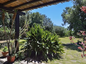 A garden with potted plants, a pergola, and a grassy area. - Villa Mimosa: Private Villa with Panoramic Terrace near Pula (Pula)