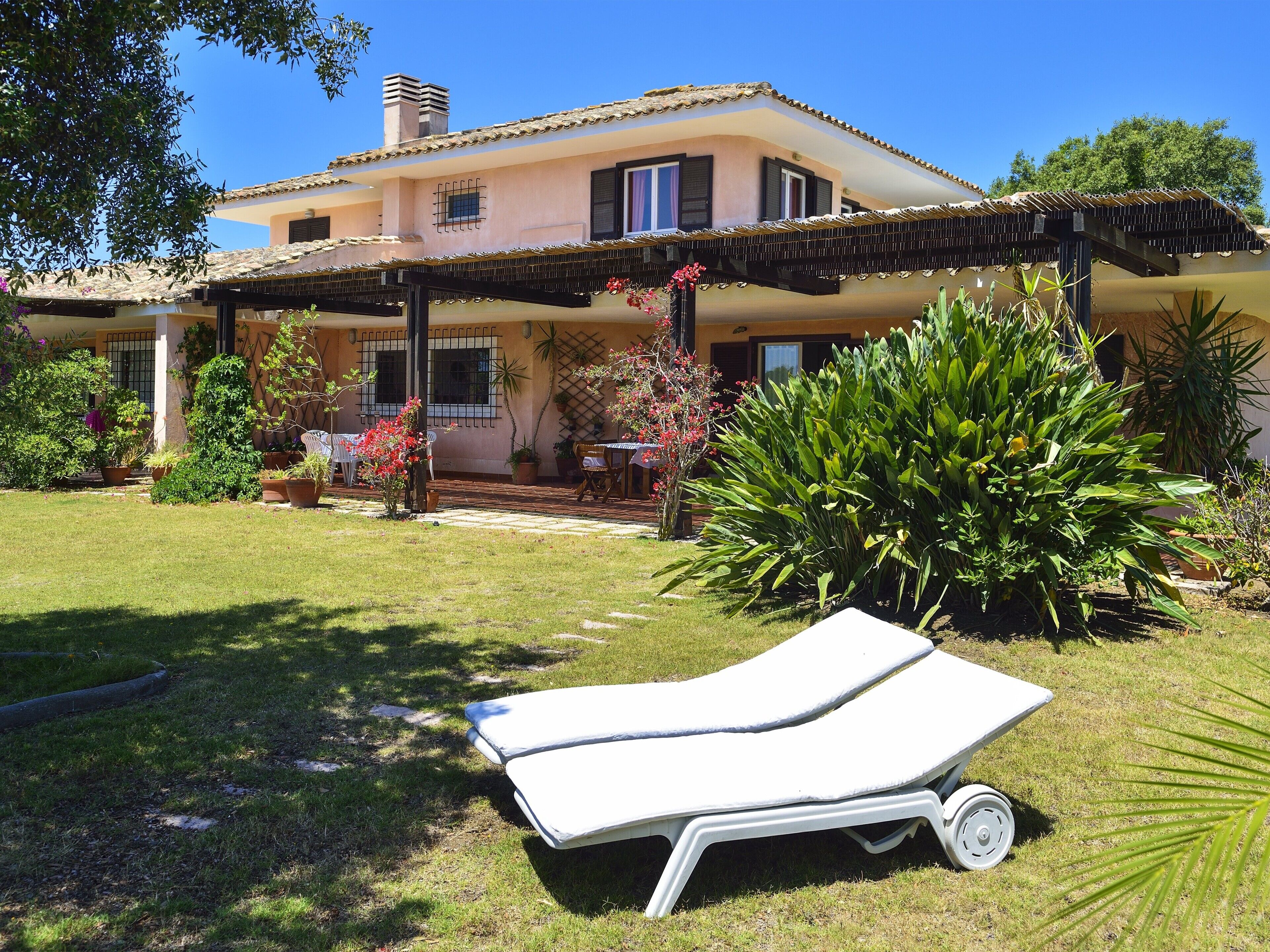 テラス / パティオ