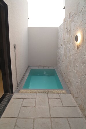 Deluxe Double Room | Private pool