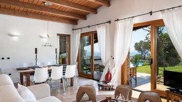 Televisión, chimenea, reproductor de DVD