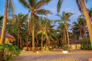 A beach with palm trees and a thatched-roof hut. - Dolphin Beach Resort (Etalai)