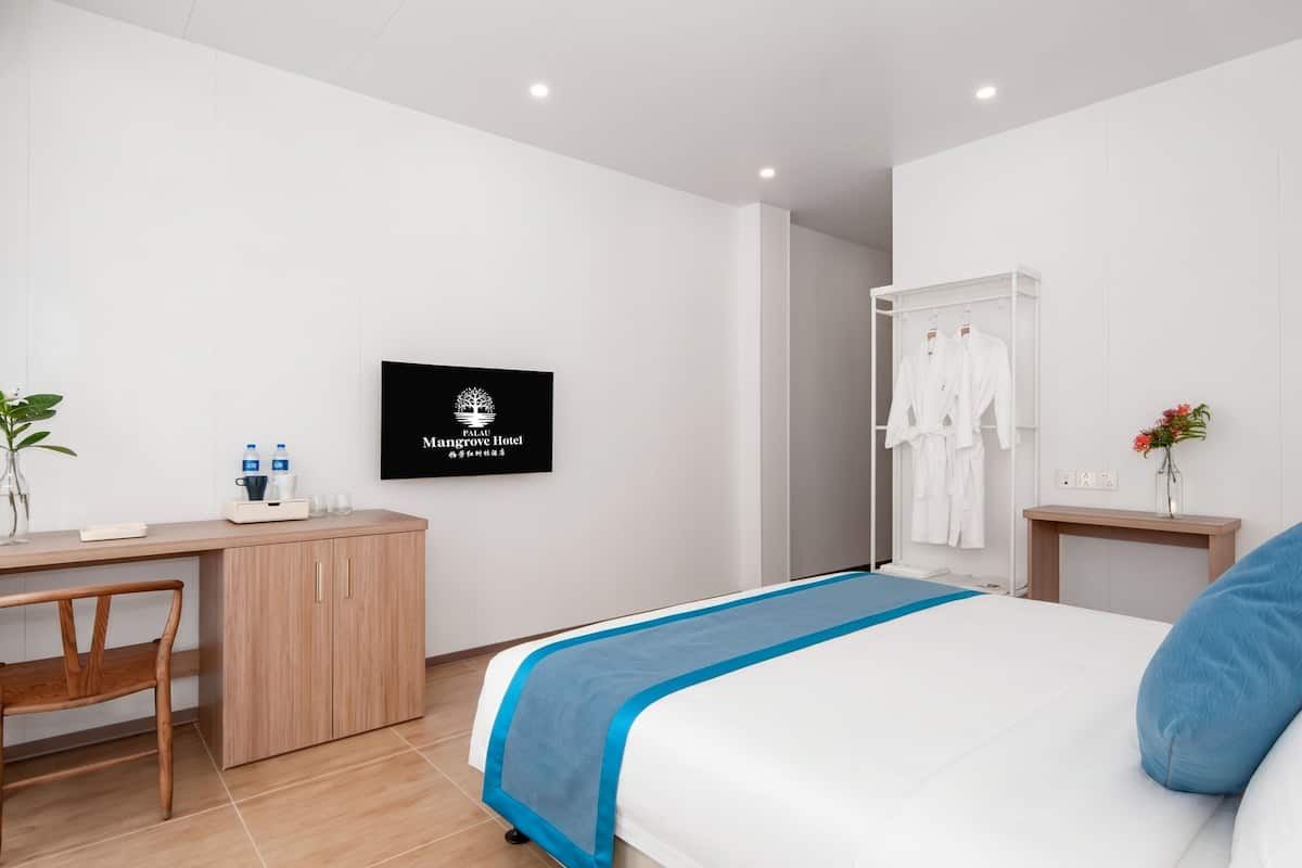 A hotel room with a bed, a desk, a chair, a TV, a robe rack, and a small table with a vase.