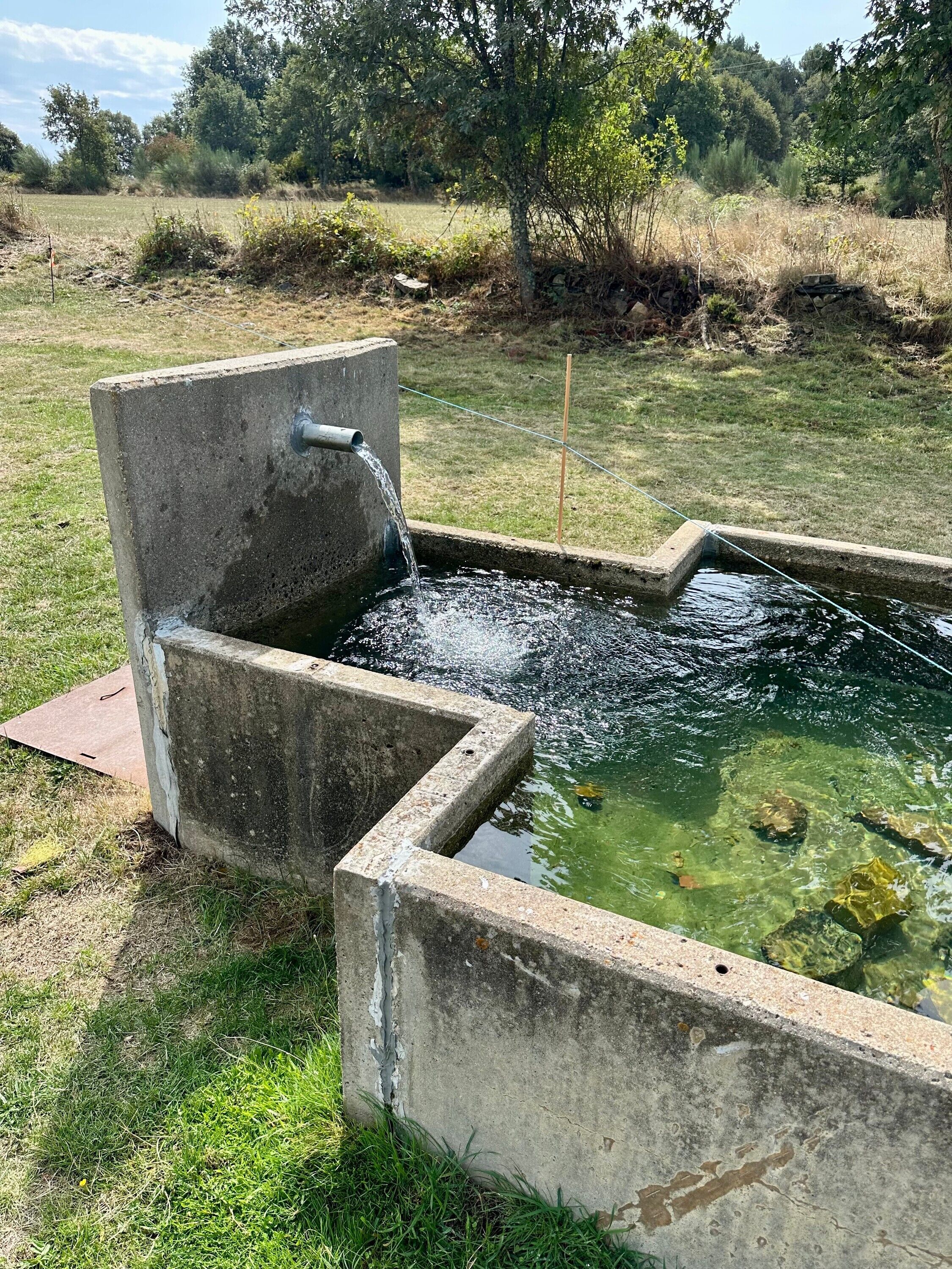 Áreas de la propiedad