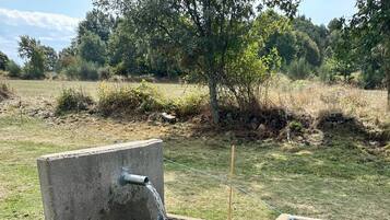 Àrea exterior de l'allotjament