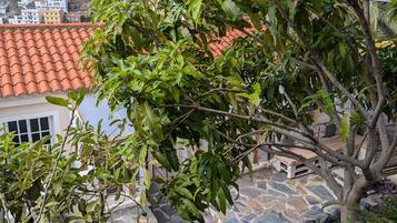 Àrea exterior de l'allotjament