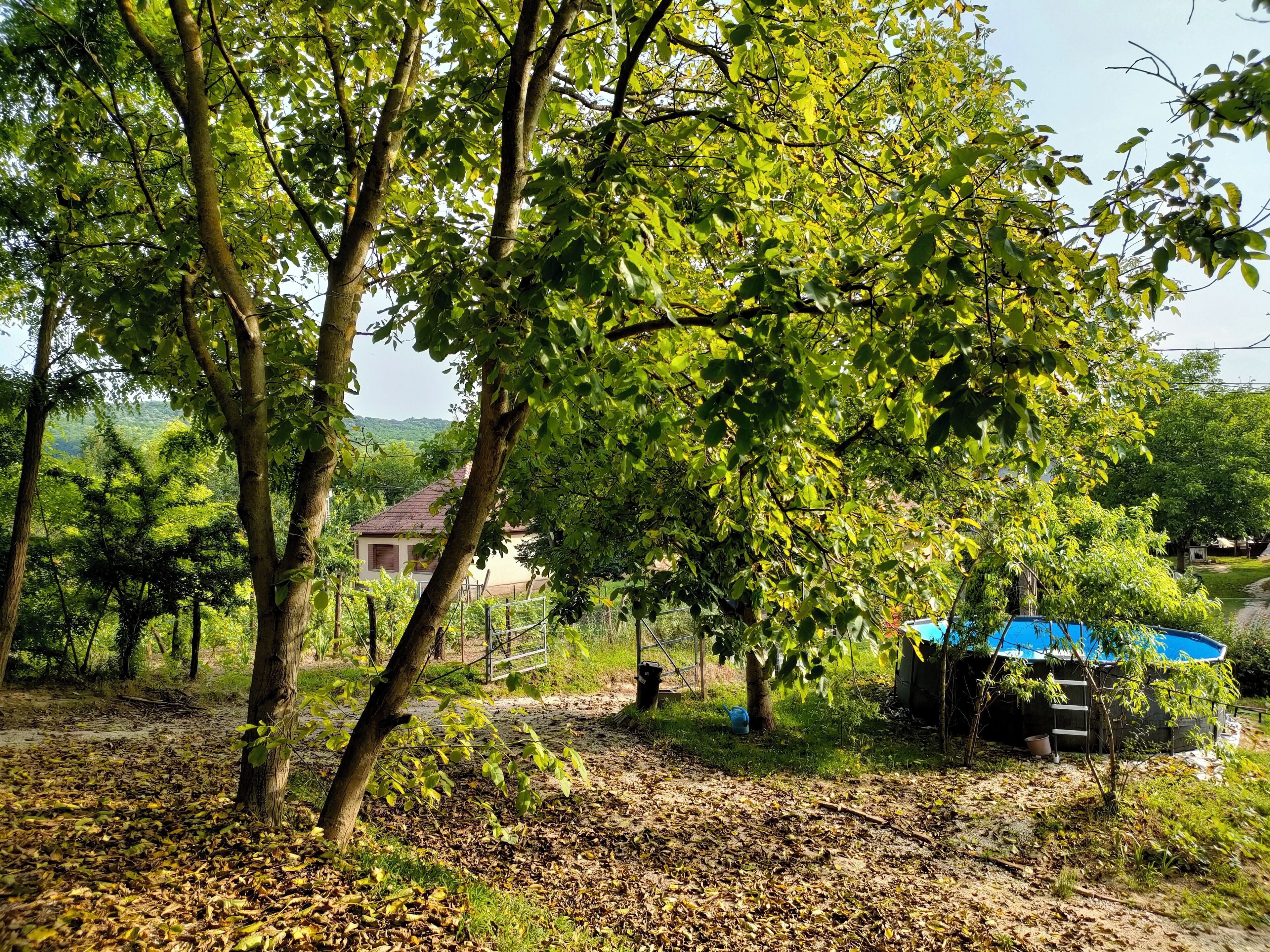 Jardines del alojamiento