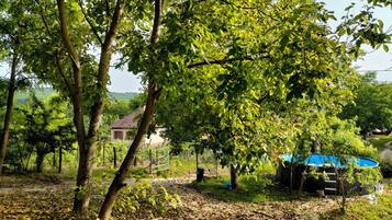 Área da propriedade