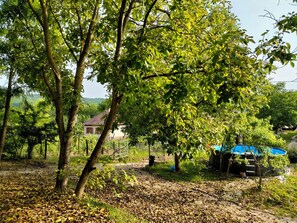 Área da propriedade