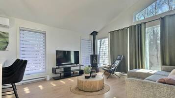 TV, fireplace, books, offices