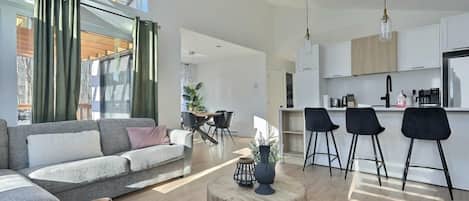 TV, fireplace, books, offices