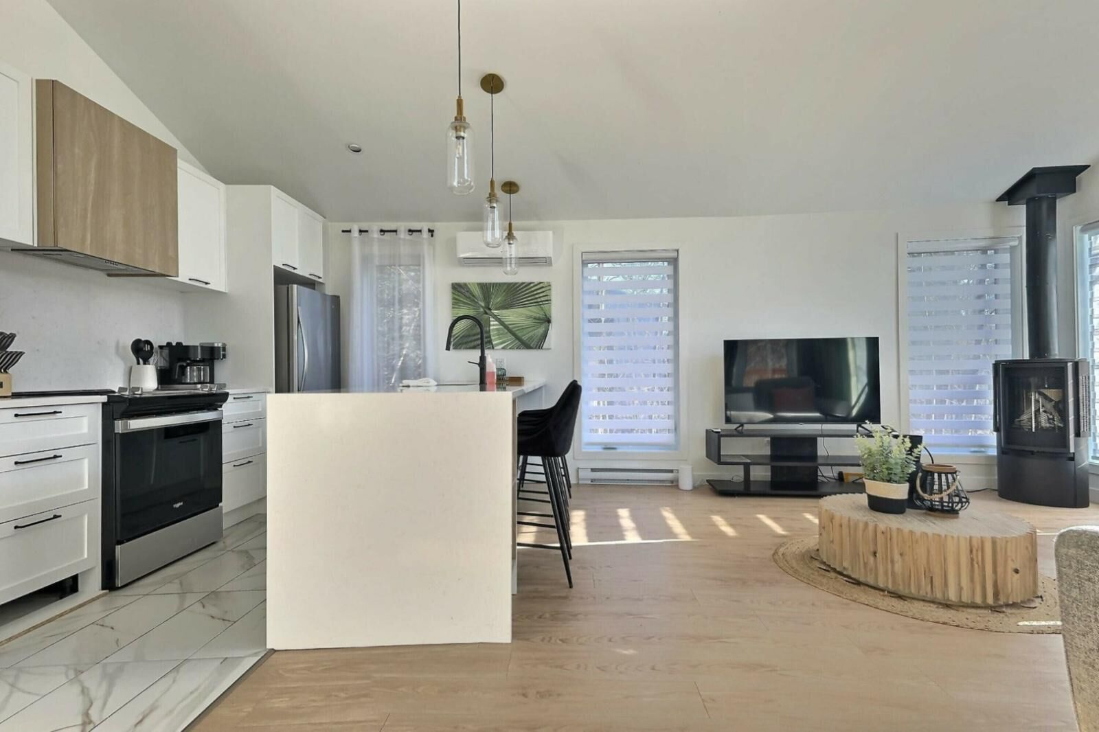 TV, fireplace, books, offices