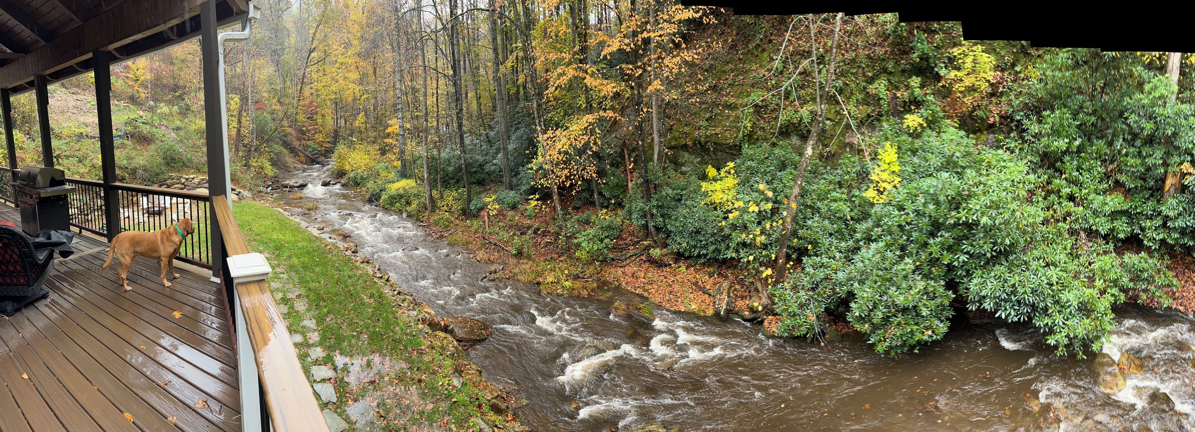 A wooden deck overlooking a river with autumn foliage.