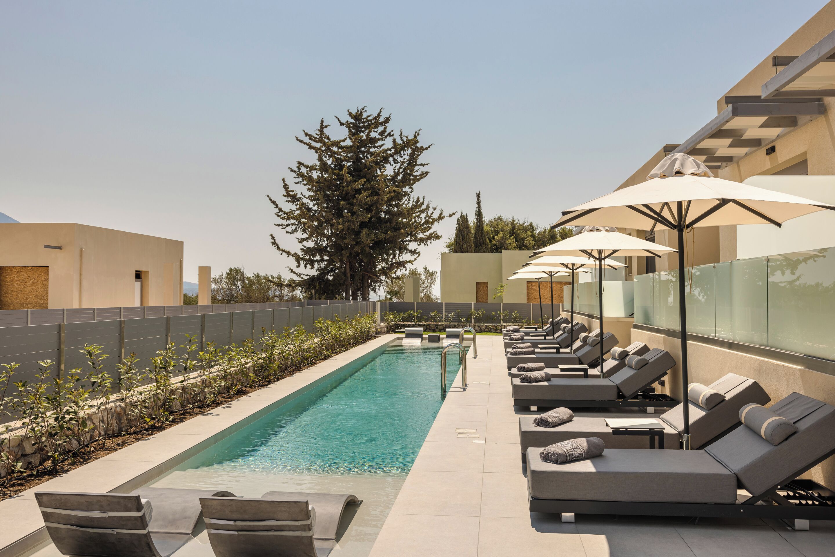 A poolside area with lounge chairs and umbrellas, a clear pool, and a tall tree in the background.