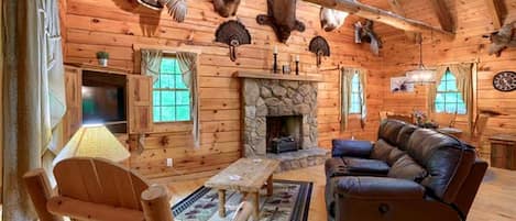 Télévision, cheminée, lecteur de DVD