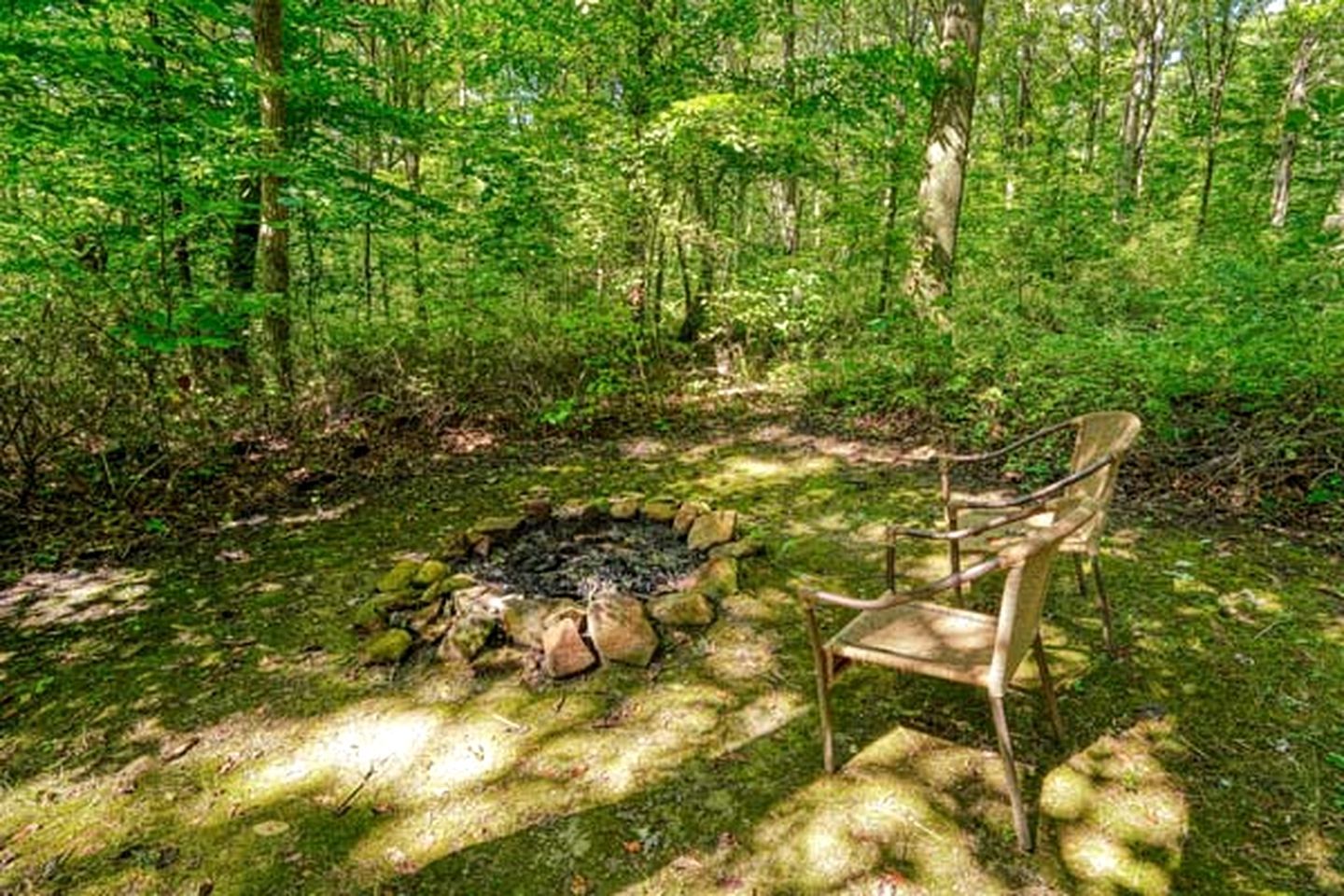 A forest with a fire pit and a chair.