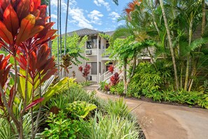 Exterior - Grand Champions 62 Remodeled 2BD Wailea Condo w/ Lanai, Pools, AC & Near Beach & Golf (Kihei)