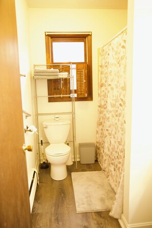 Shower, towels, soap, toilet paper - Carly Brook Home-Cozy Country Retreat Near Ski Areas (Hinesburg)