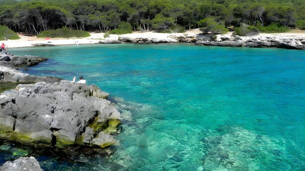 A coastal area with clear turquoise water, rocky formations, and a forested hillside in the background.