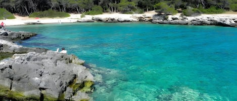 在海灘附近