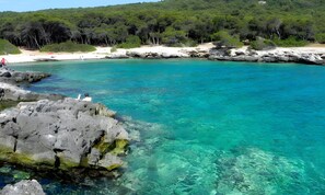 Une zone côtière caractérisée par une eau turquoise et limpide, des formations rocheuses et, en arrière-plan, une colline boisée.