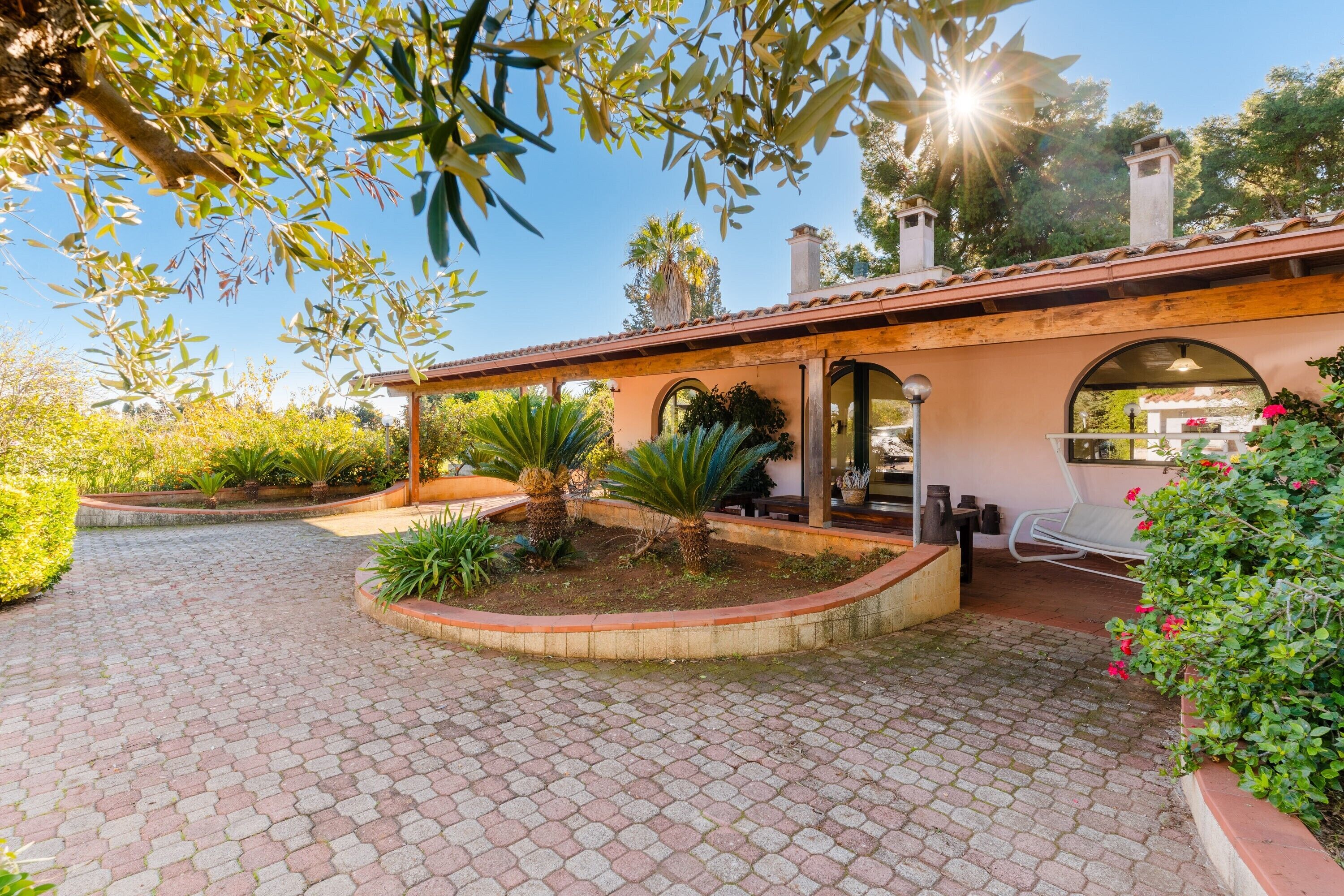 テラス / パティオ