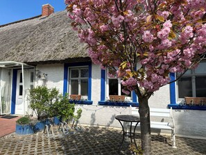 Terrace/patio - Private accommodation, entire fisherman's cottage in Garz near Kayser`s (Garz)