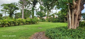 Property grounds - Seahorse Pool Hideaway 3.5 M to Nokomis Beach (Nokomis)