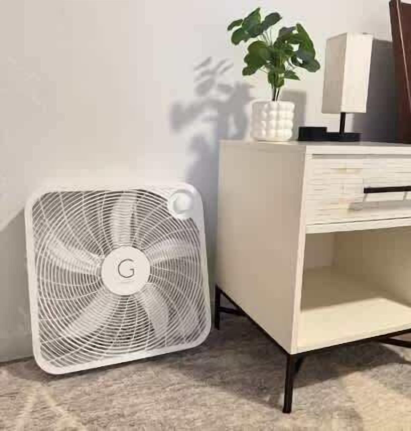 A white fan with a circular grille and a control knob, positioned next to a white cabinet with a plant on top.