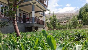 Un edificio con balcón, rodeado por un jardín con plantas verdes.