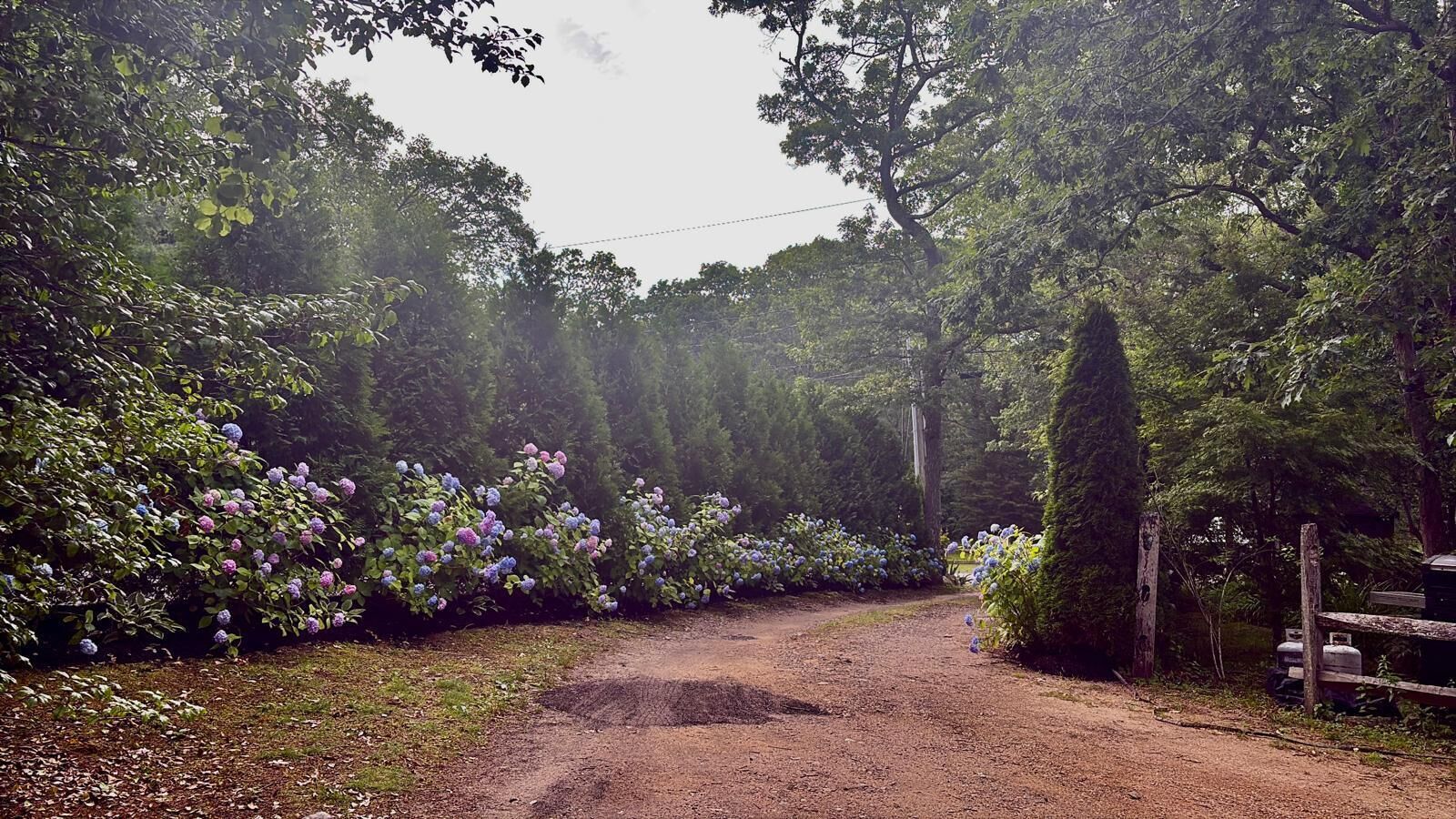 Terrain de l’hébergement 